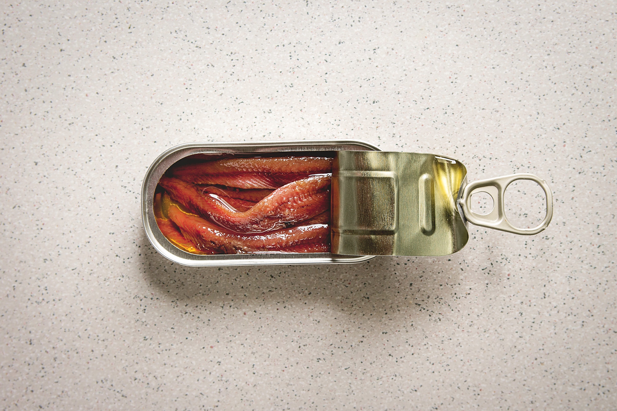 Pickled anchovies in tin can-conserve