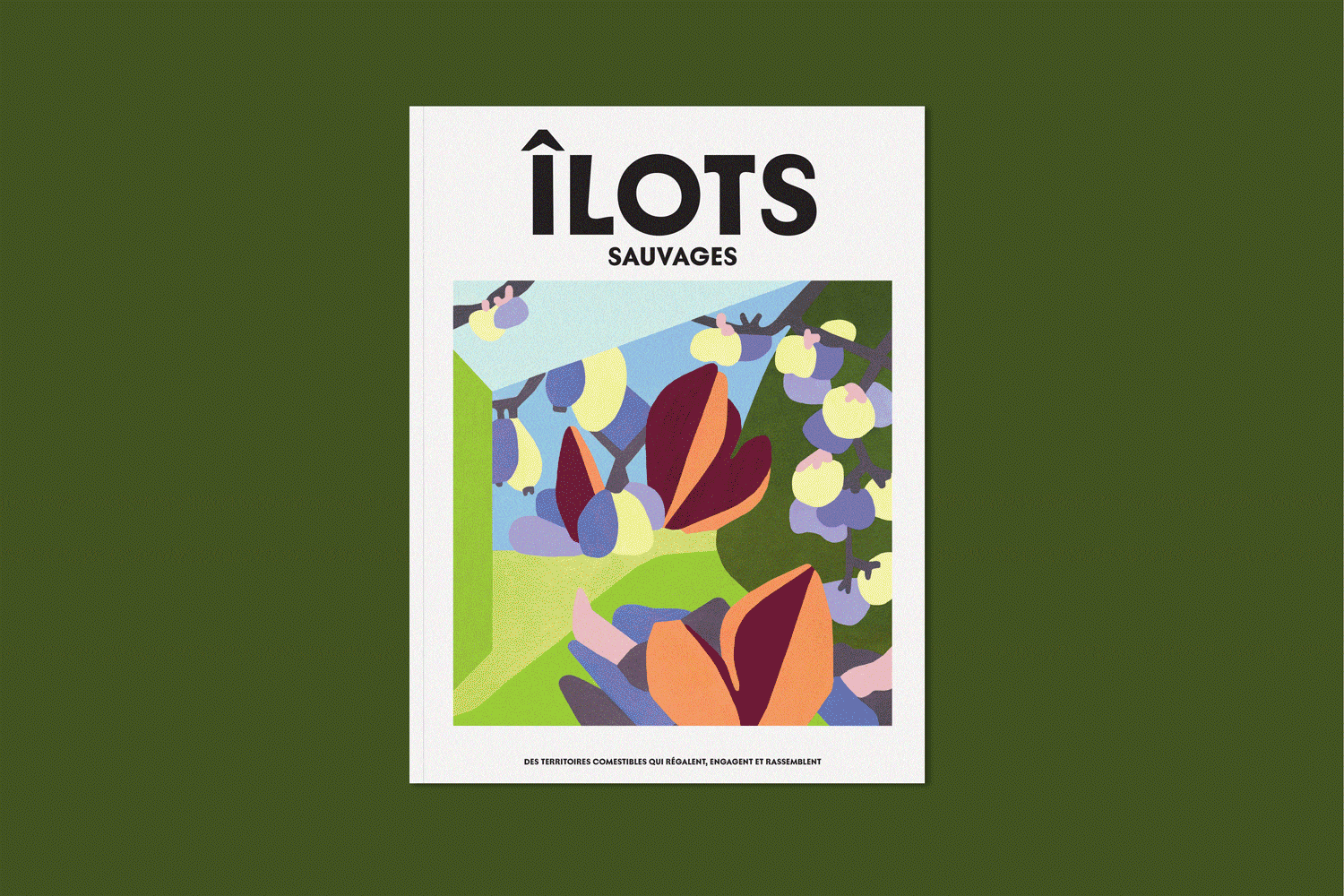 ilots-magazine-01