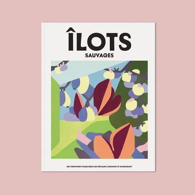 ilots-magazine
