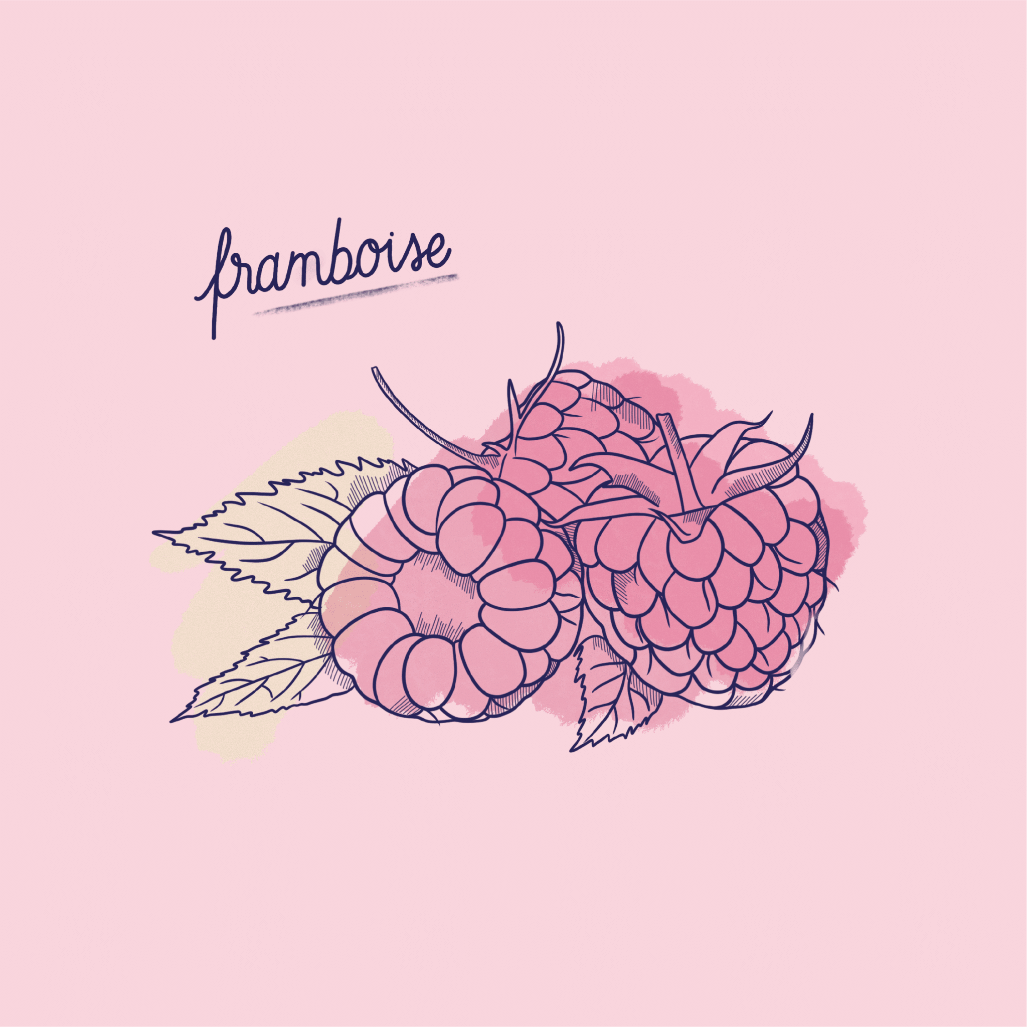 Framboise_Fruit-Post