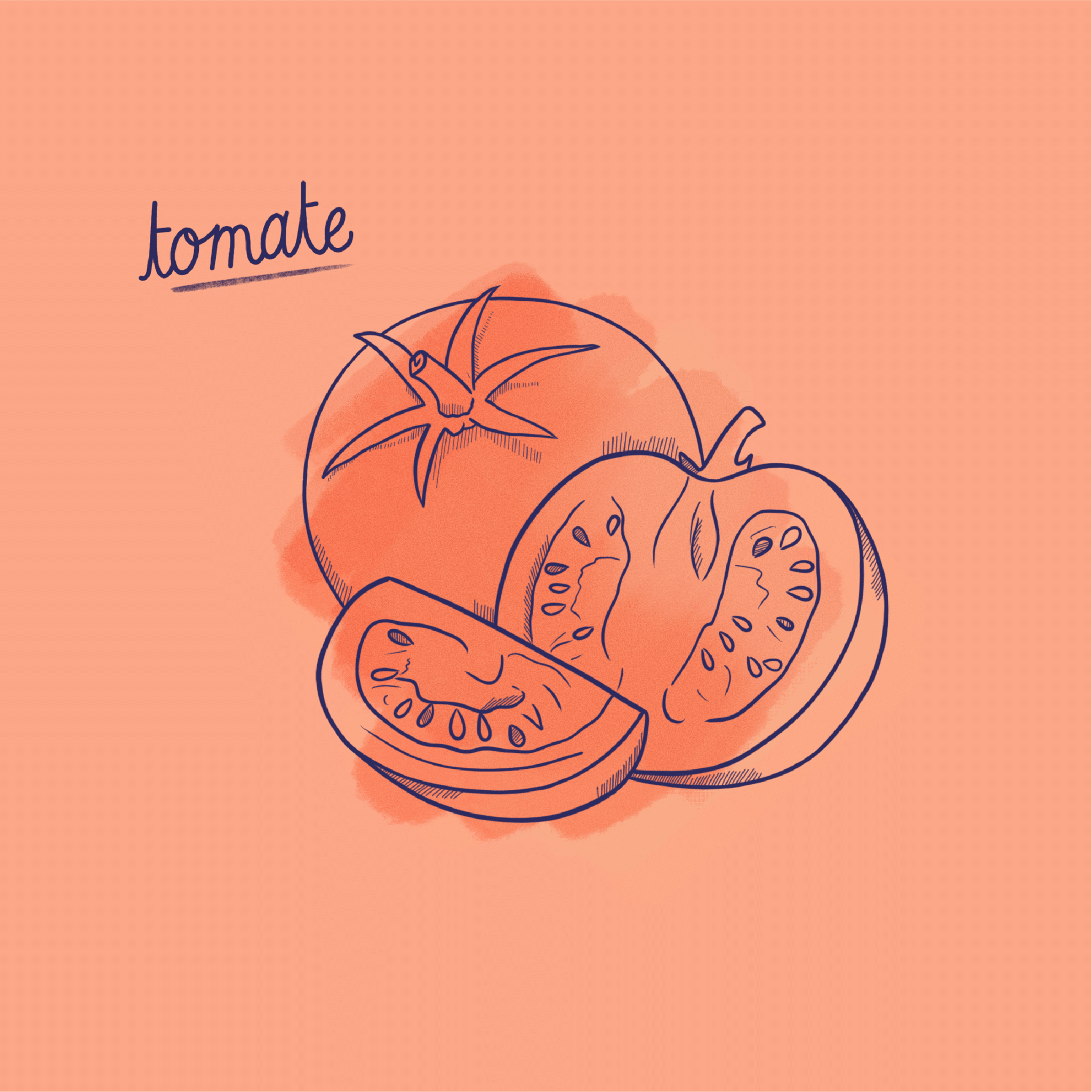 Tomate_Fruit-Post
