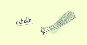 Cébette_Fruit-Blog