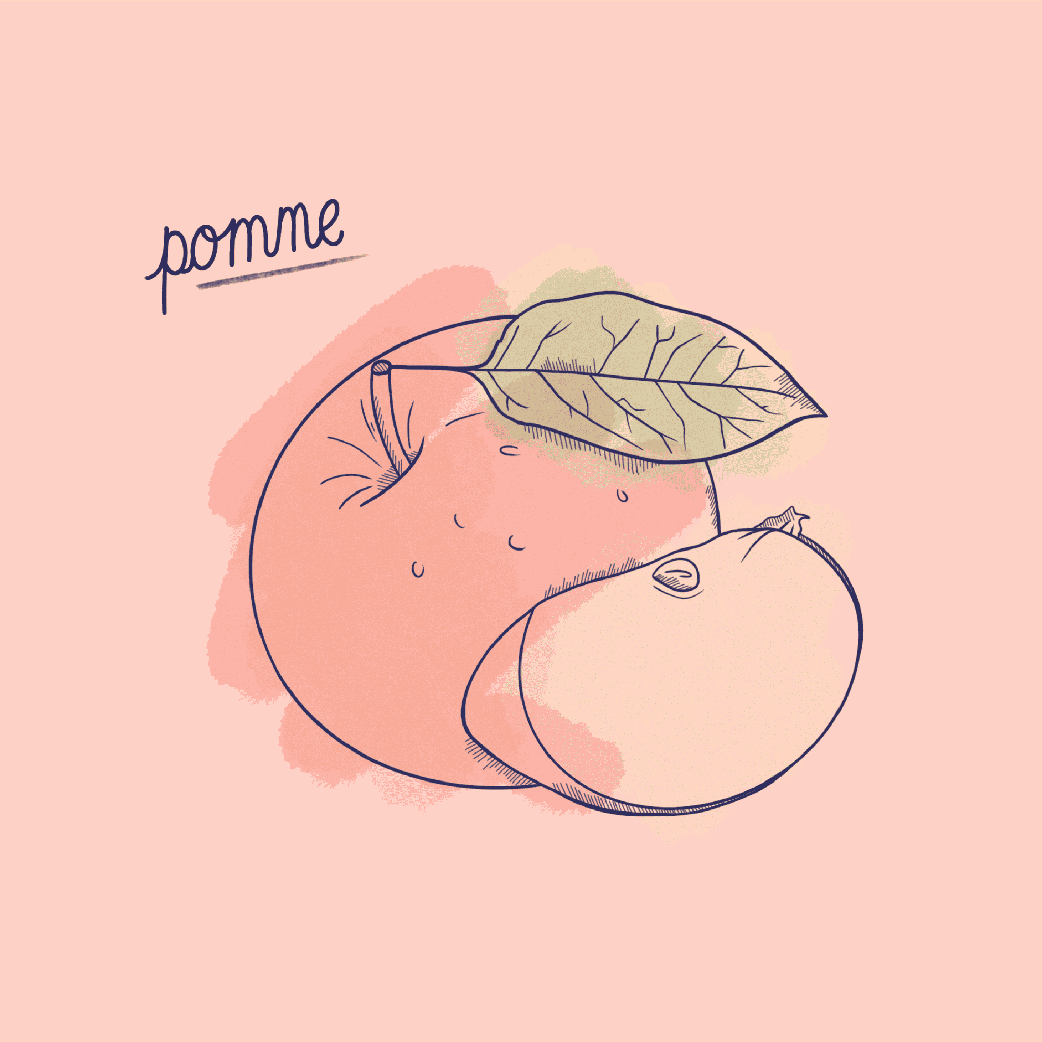 Pomme_Fruit-Post